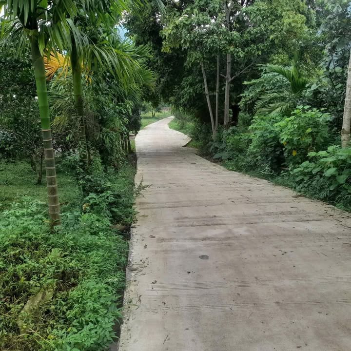 Đất nền Nật Sơn Kim Bôi 1642m² - Nghỉ dưỡng lý tưởng, sổ đỏ sẵn sàng!