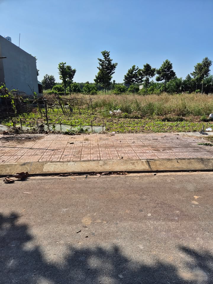 Bán Đất 100m² Đường N6 Hội Nghĩa, Tân Uyên - Sổ Đỏ Sẵn Sàng