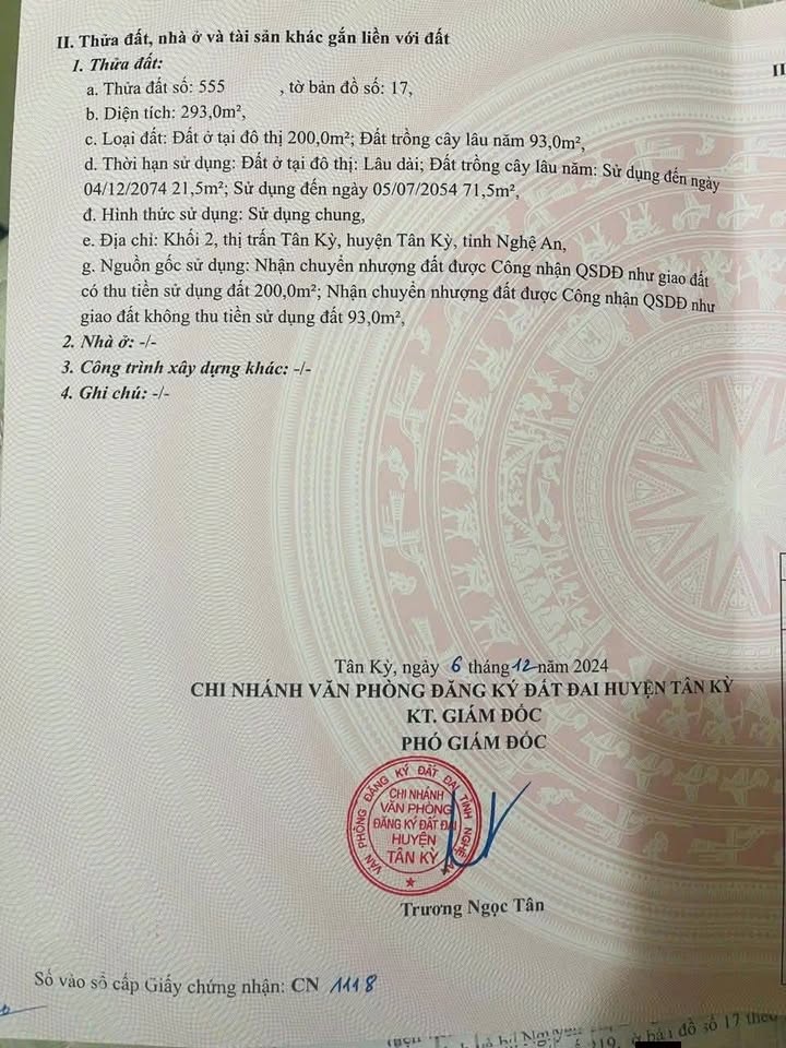 Đất Vàng Tân Kỳ 200m² Thổ Cư - Sẵn Sàng Xây Dựng, Giá Tốt