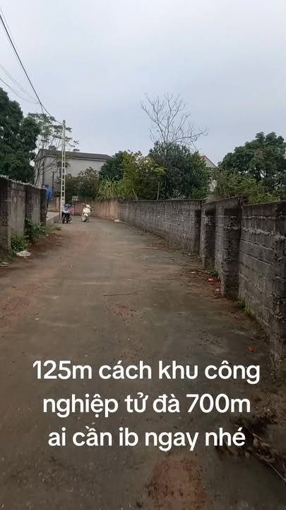Đất nền Vân Phú, Việt Trì 125m² – Sổ đỏ chính chủ, giá cực tốt!