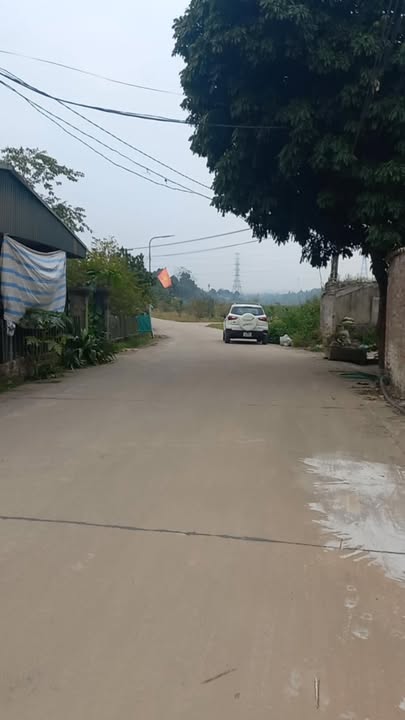 Đất nền Phù Ninh 198m² - Trục chính kinh doanh, Sổ đỏ sẵn sàng!