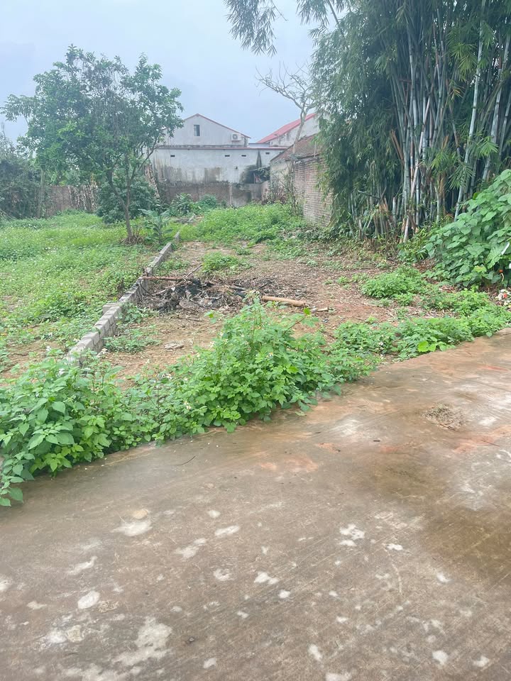 Đất nền Thôn Tân Sơn, Hiệp Hoà, TP Bắc Ninh 185m² - Sổ đỏ chính chủ