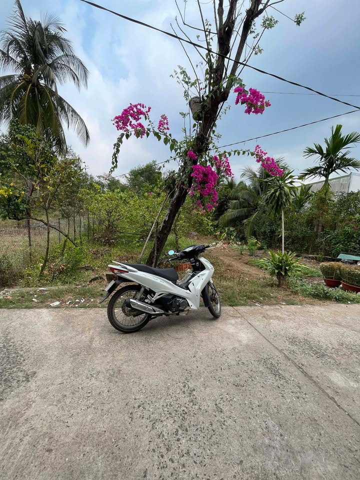 Đất nền Phú Tân, Định Quán 273m² - Sổ đỏ chính chủ, công chứng ngay