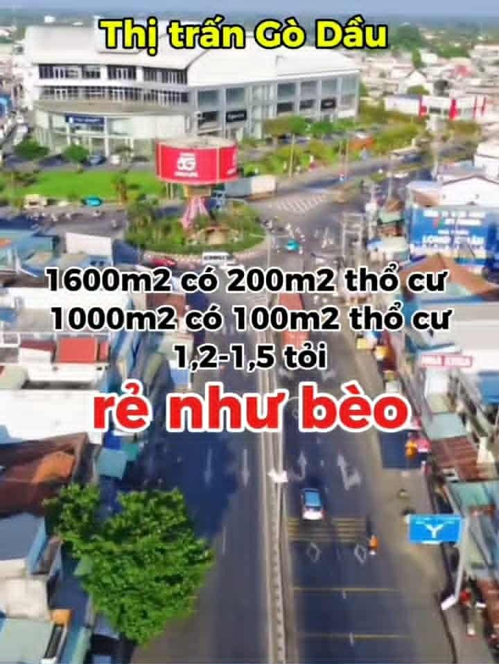 Đất Gò Dầu 1600m² - Sổ Hồng Riêng, Giá 1.5 Tỷ - Kề Trung Tâm