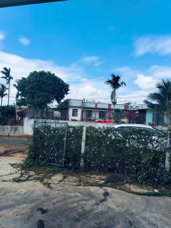 Bán Đất Tặng Nhà Cấp 4 Đường Lý Chính Thắng, Buôn Hồ - 450m²