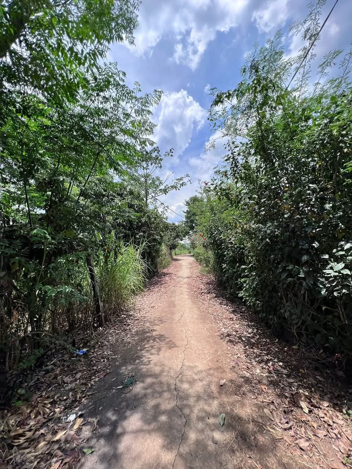 Đất nền Ea Drông QL29 210m² 300-399 triệu - Đường to ô tô