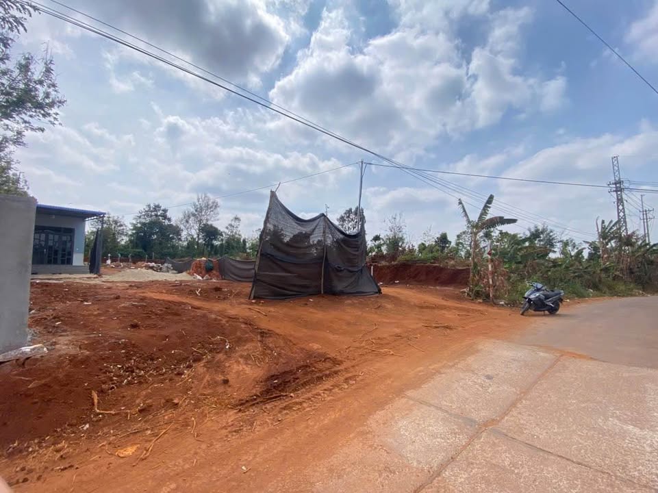 Đất Vườn Buôn Hồ 1280m² Mặt Tiền Nhựa 20m - Giá 3.8 Tỷ