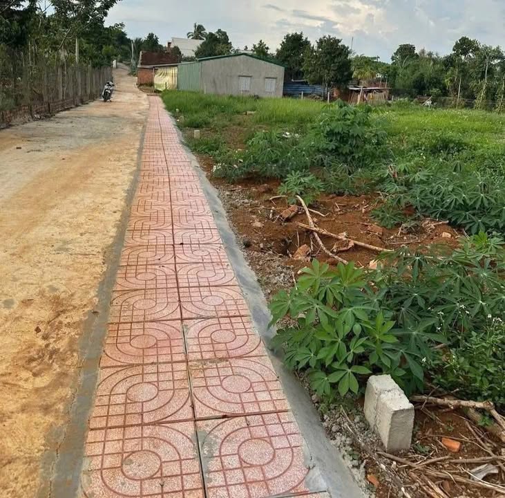 Đất nền Hẻm Phạm Ngọc Thạch Krông Pắc 140m² - Đường ô tô vào tận nơi!