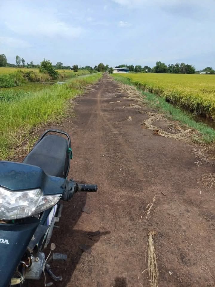 Bán Gấp 2125m² Đất Ruộng Xã An Ninh Tây, Đức Hòa - Giá 850 Triệu Chính Chủ