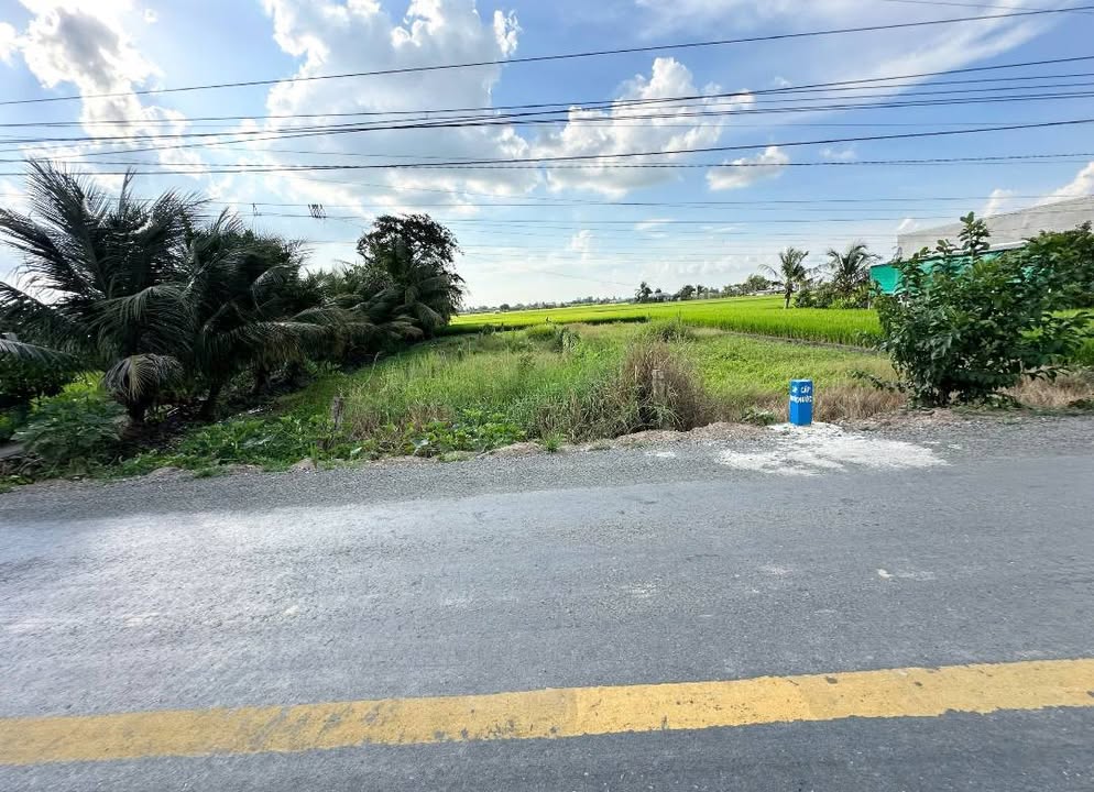 Đất nền Tân Trụ Long An 200m² - Tiềm năng tăng giá vượt trội!