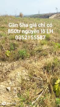 Đất Nền Cư Jút 4.9ha giá 850 triệu - Tiềm năng tăng giá!