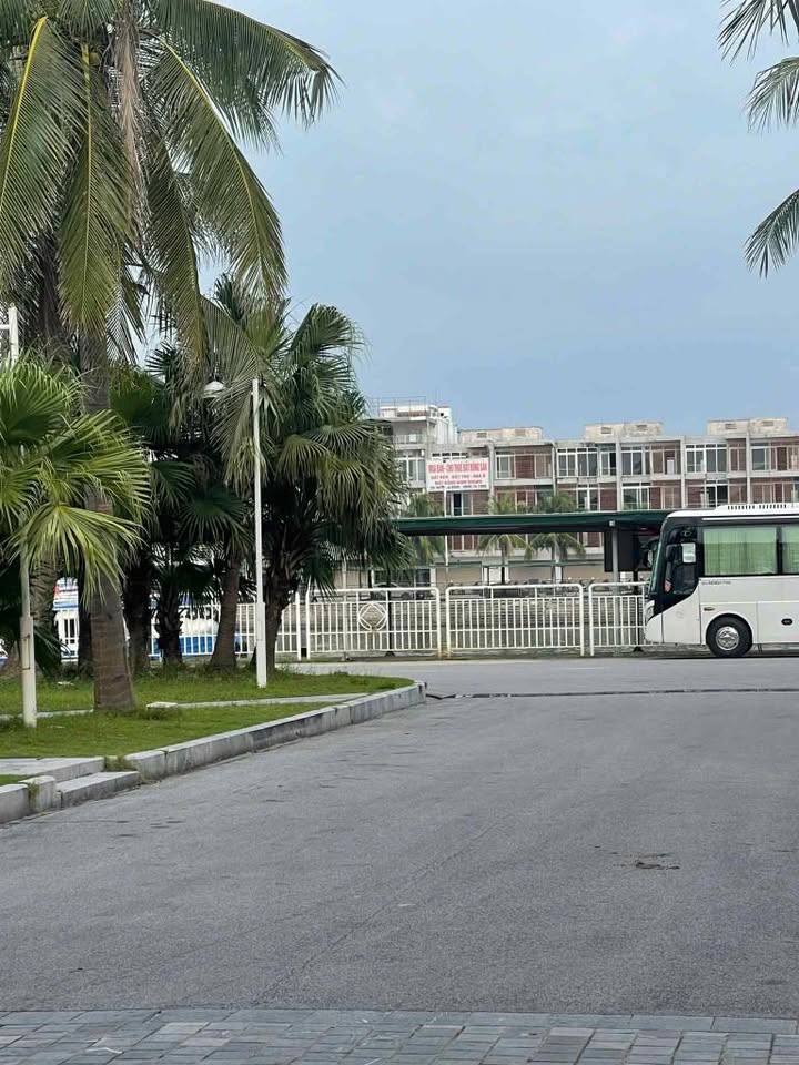 Nhà phố Tuần Châu Hạ Long 81m² 6 tỷ - Mặt tiền kinh doanh