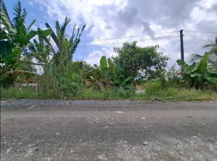 Đất nền Xã Hòa Khánh Nam, Đức Hòa 1270m² - Sổ hồng chính chủ!