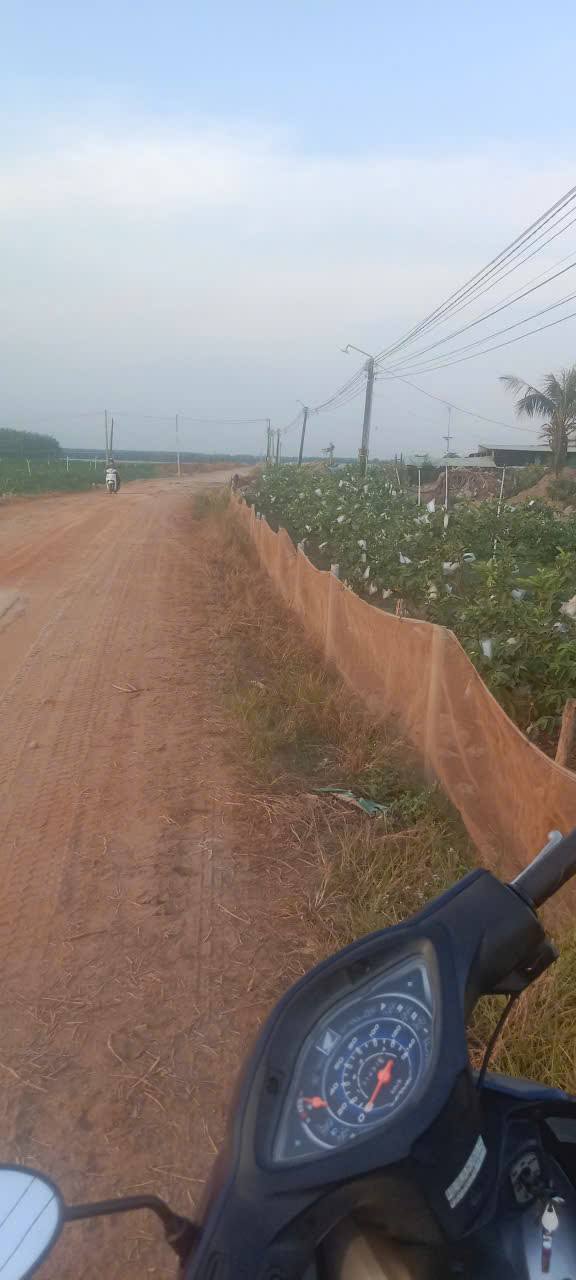 Đất nền Tân Phú, Tây Ninh 1050m² - Giá tốt chỉ 300 triệu/lô