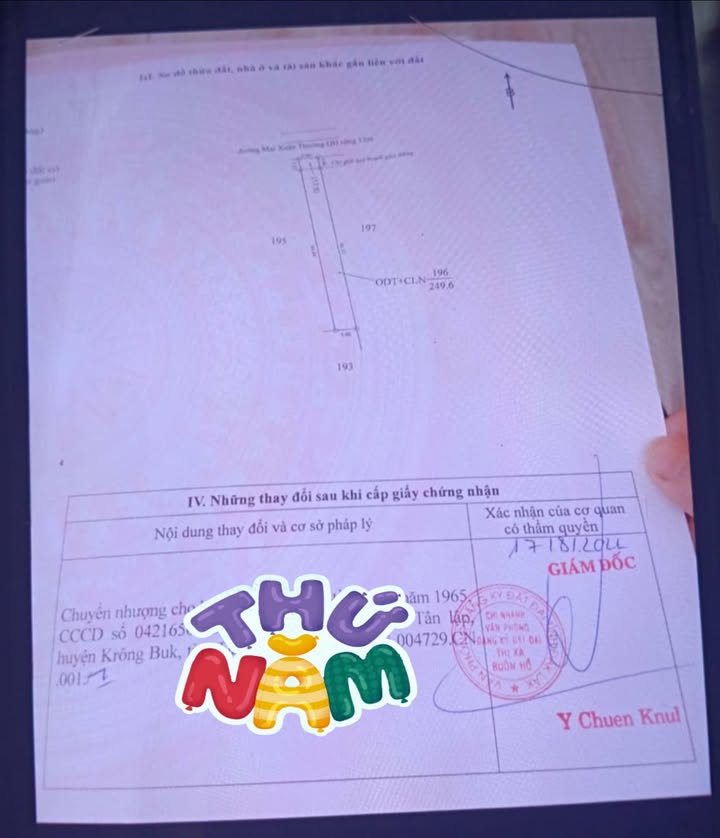 Đất Nền Mai Xuân Thưởng, Tuy Hòa - 3000m² Giá Tốt Nhất Phú Yên