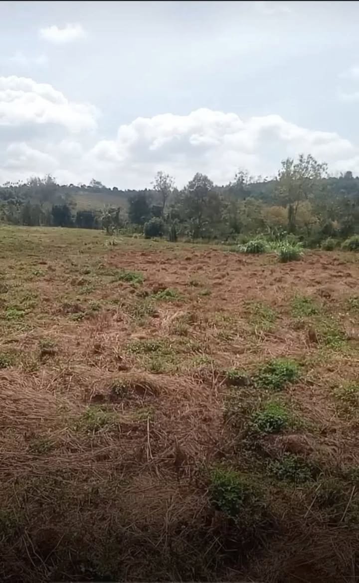 Đất Rẫy Ea Sin, Krông Búk 53.000m² - Sổ đỏ chính chủ!