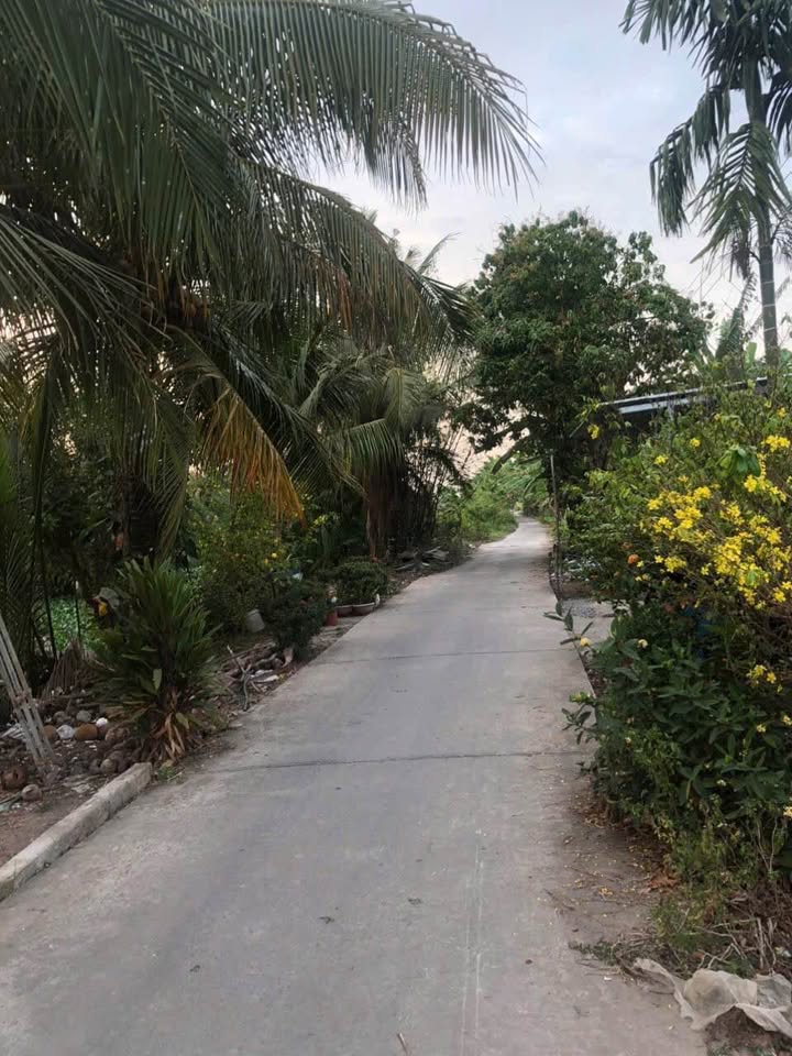 Đất nền Châu Thành Kiên Giang 169m² giá 300 triệu - Sổ đỏ chính chủ!