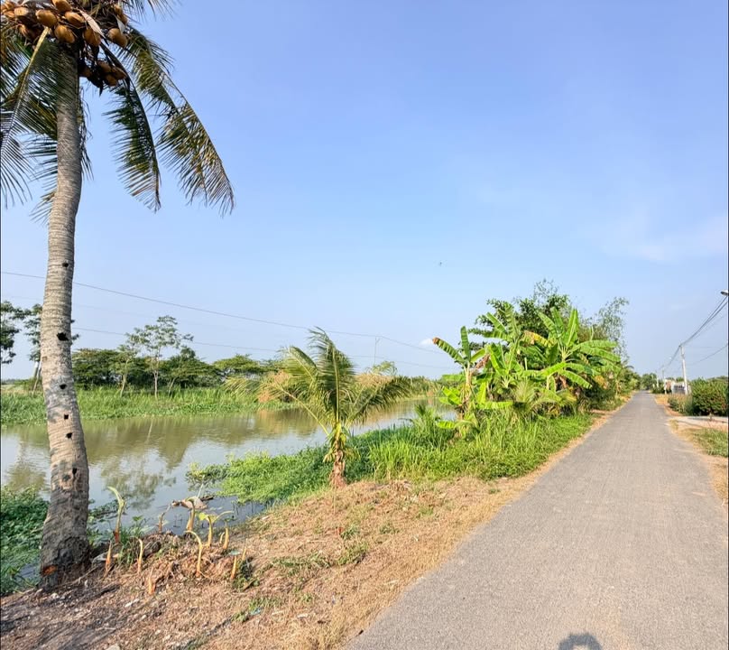 Đất nền Long Bình Gò Công Tây 352.5m² giá 759 triệu - Tiềm năng tăng giá!