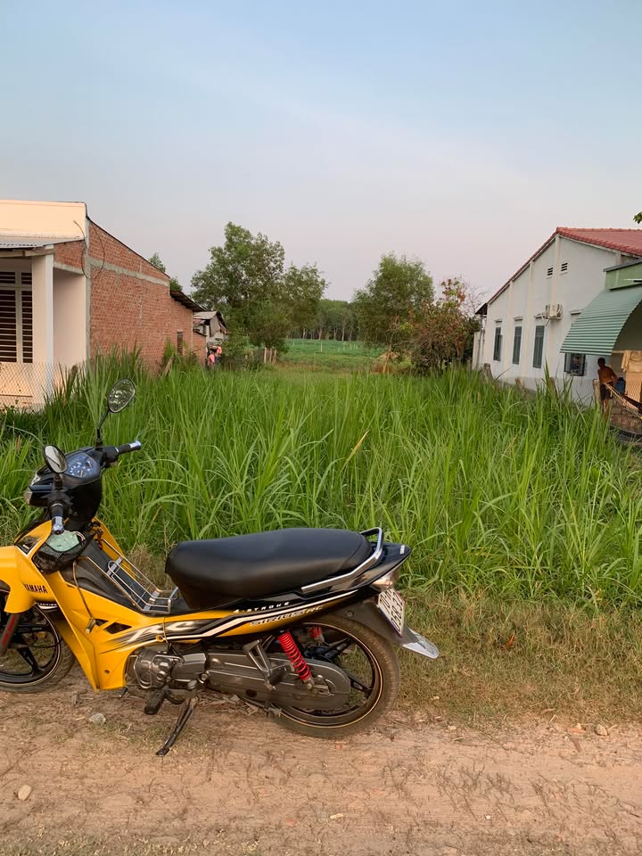 Đất nền Tân Biên 504m² 440 triệu - Sổ đỏ chính chủ