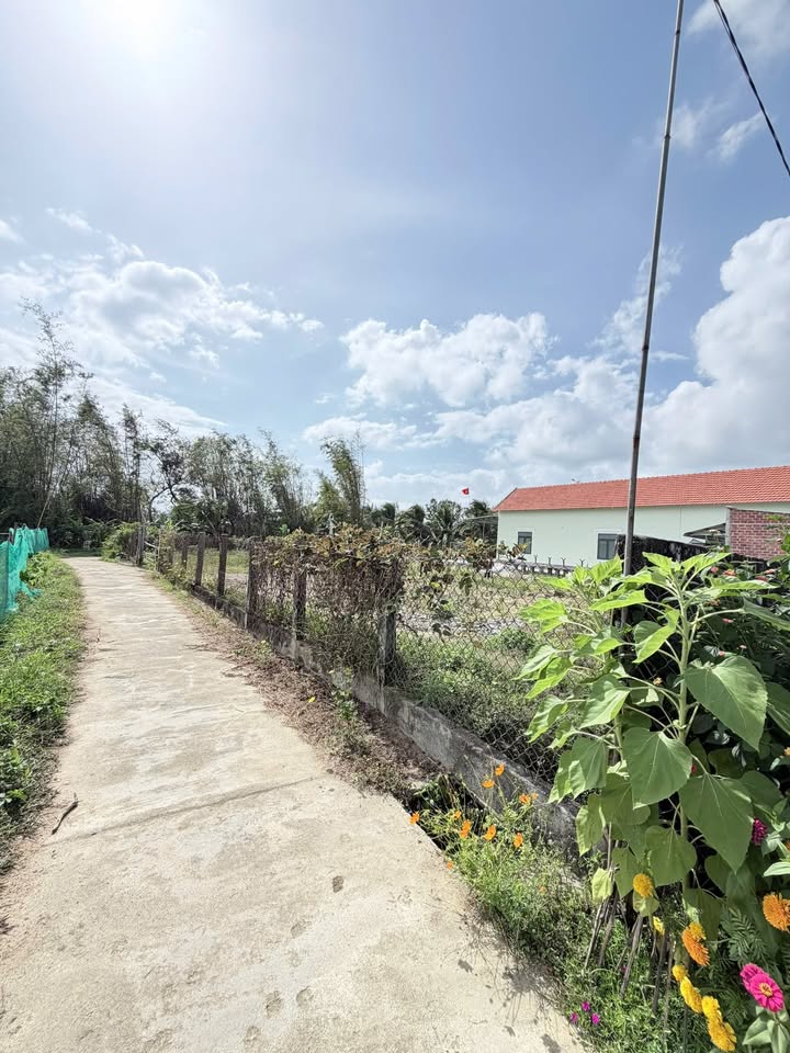 Bán Đất Liền Kề 120m² Phù Cát, Bình Định - Gần Cầu Khánh Phước - Giá Tốt