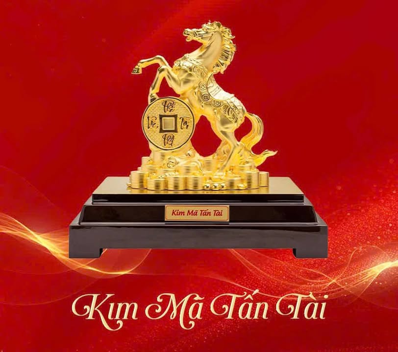 Nhà Phố Võ Giữ Quy Nhơn 49m² - Mặt tiền kinh doanh đắc địa!