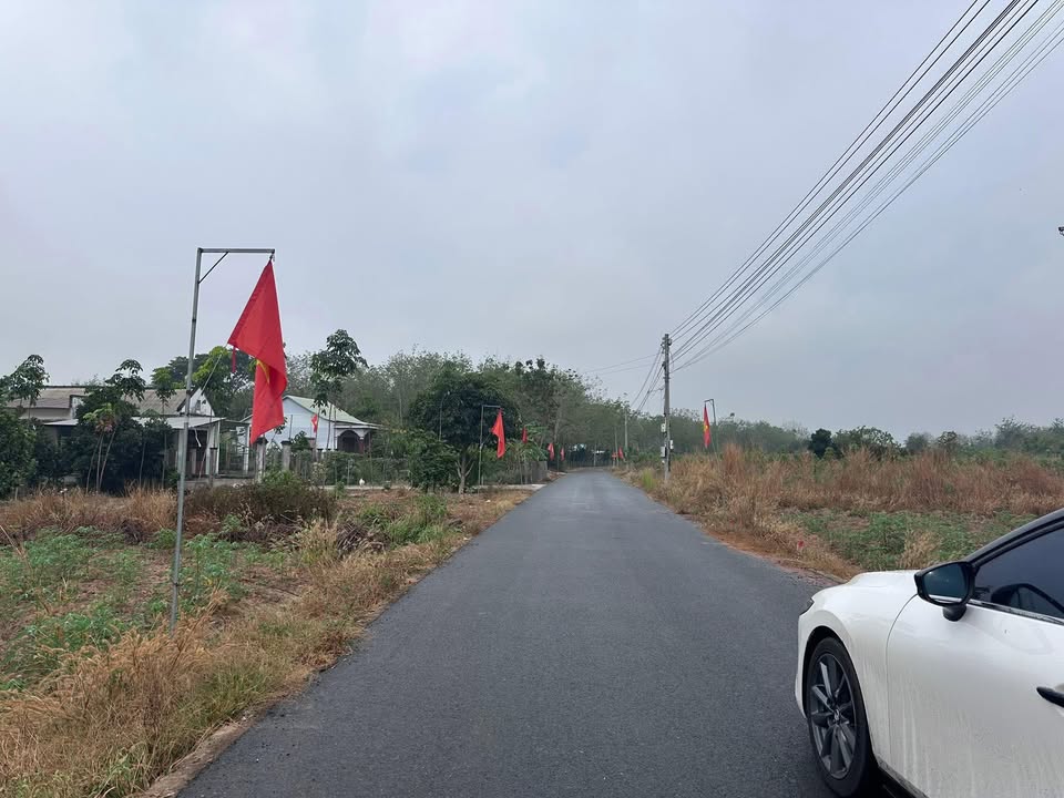 Đất Nền An Linh, Phú Giáo 960m² - Sổ Đỏ Chính Chủ, Đường Thông!