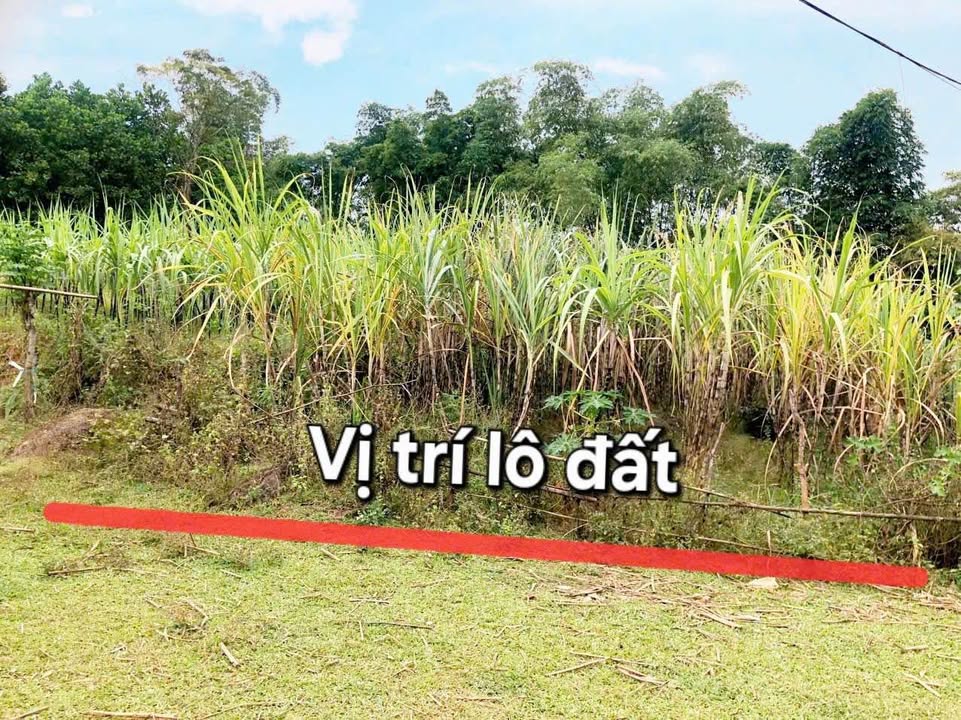 Đất nền Lạc Sơn, Hòa Bình 650m² chỉ từ 3xx triệu - Sổ đỏ chính chủ!