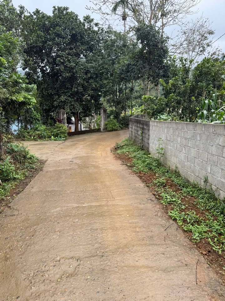 Đất Vườn Yên Mông 800m² - Tặng Vàng, Lời Cao