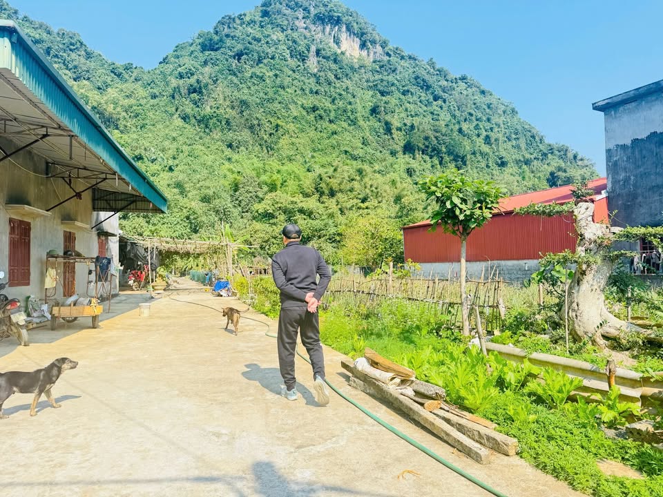 Bán Đất Đô Thị 121.6m² Thị Trấn Hàng Trạm, Yên Thủy - Giá Tốt