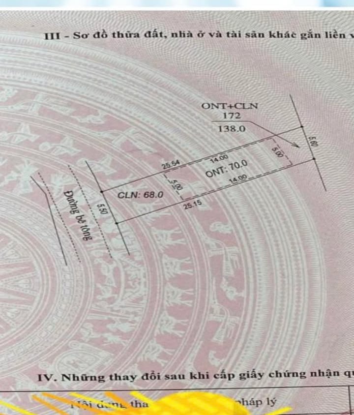 Đất Lục Nam 138m² - Giá Hời Dưới 400 Triệu - Ô Tô Đánh Võng