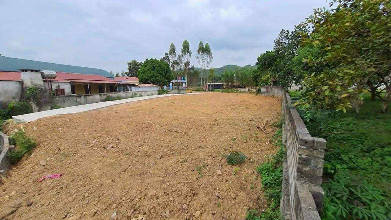 Bán Đất Nền 140m² Giá 500 Triệu Tại Bố Hạ, Yên Thế - Sổ Đỏ Sẵn Sàng