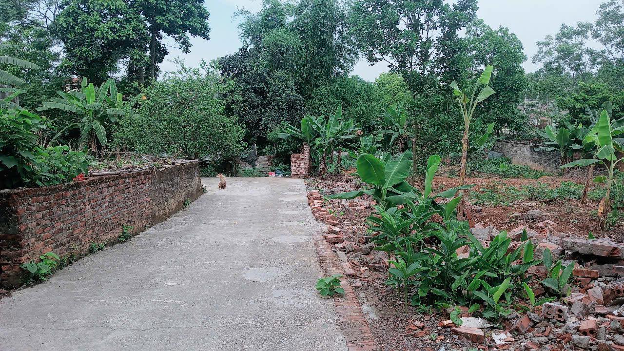 Đất nền Vân Phú Việt Trì 82.6m² giá 1.68 tỷ - Sổ đỏ chính chủ