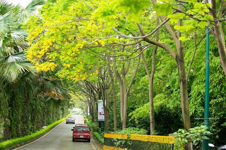 Chung cư Rừng Cọ Tây Hồ 92m² (3PN) - Sống Xanh Chuẩn Mực