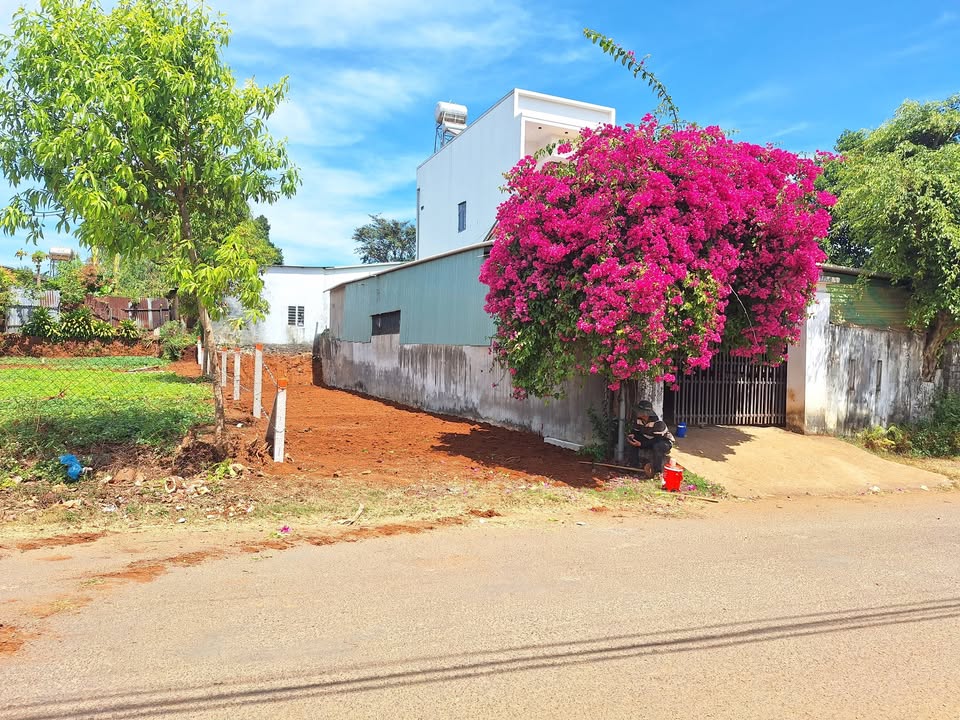 Đất nền Bùi Viện Pleiku 105m² giá 700 triệu - Sổ đỏ chính chủ