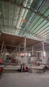 Cho Thuê Xưởng 17.000m² KCN Phú Tài, Bình Định - Container Ra Vào Thoải Mái