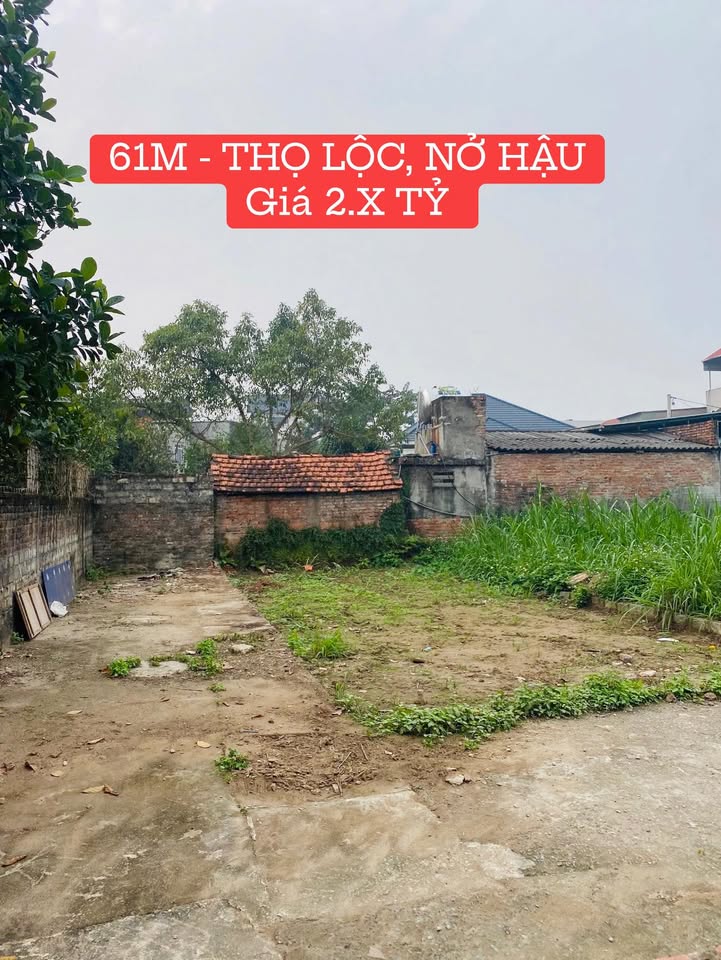 Bán Gấp Đất Nền 61m² Thọ Lộc, Phúc Thọ - Sổ Hồng Sẵn, Tặng Vàng