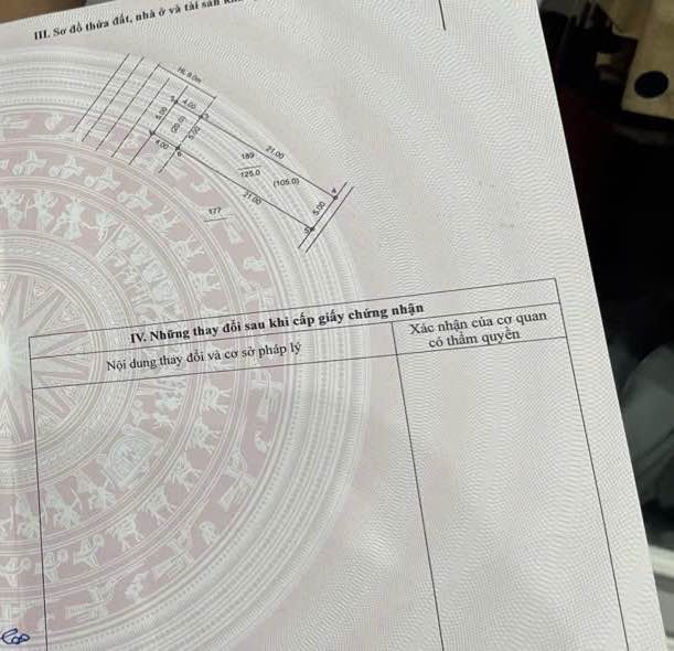 Đất nền Tri Chỉ, Phú Xuyên 125m² - Tiềm năng tăng giá vượt trội!