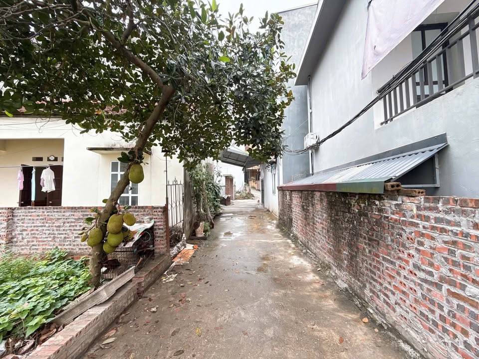 Bán Đất Nền 74-76m² Lõi Trung Tâm Gia Cẩm, Việt Trì - Giá Tốt