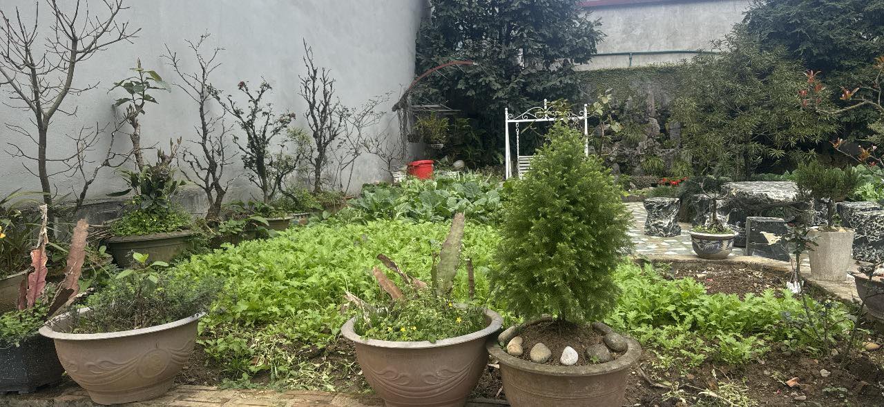 Mặt Tiền Điện Biên Phủ Sapa 160m² Thổ Cư - Giá Gấp 16 Tỷ