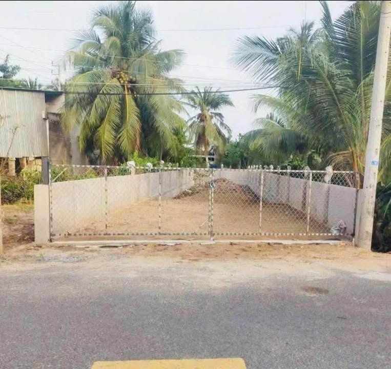Đất nền Lộ Cầu Nhà Việc Bến Tre 224.5m² – Đầu tư sinh lời ngay!
