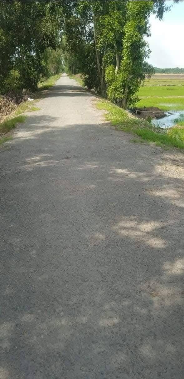 Đất vườn Xã Thạnh Hoà, Tân Phước 20.000m² - Giá đầu tư tốt!