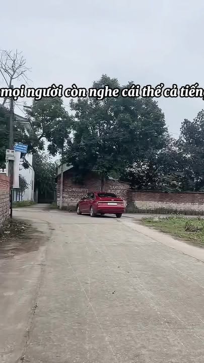 Đất nền Thái Bảo Gia Bình 146m² - Đất thổ cư 100%, đường ô tô!