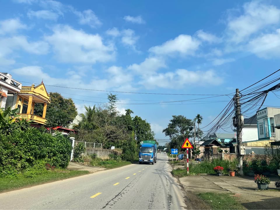 Bán đất 180m² mặt đường tỉnh lộ, Xã Phù Ninh, Phú Thọ - Sổ hồng sẵn sàng