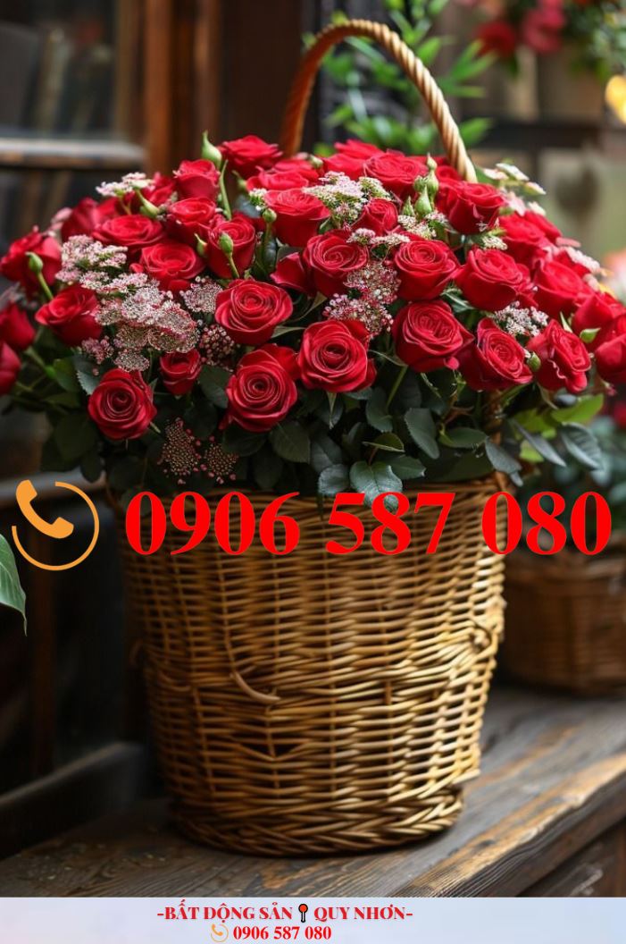 Nhà phố Đường Ỷ Lan Quy Nhơn 80m² - Mặt tiền kinh doanh đắc địa!