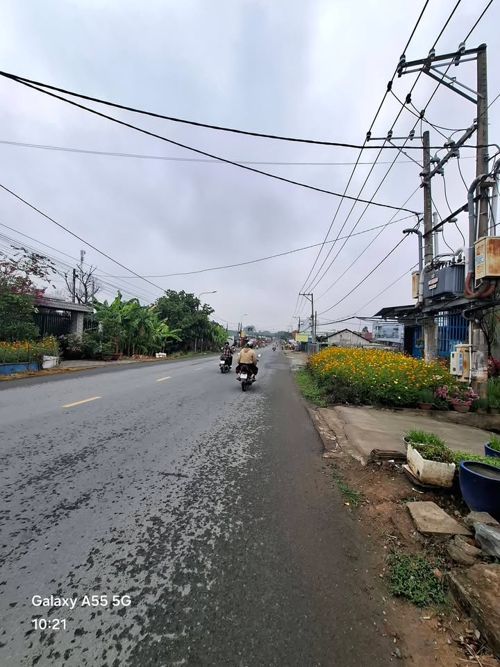 Đất Thổ Cư Sổ Riêng Tân Kiên, Bình Chánh - Giá Tốt