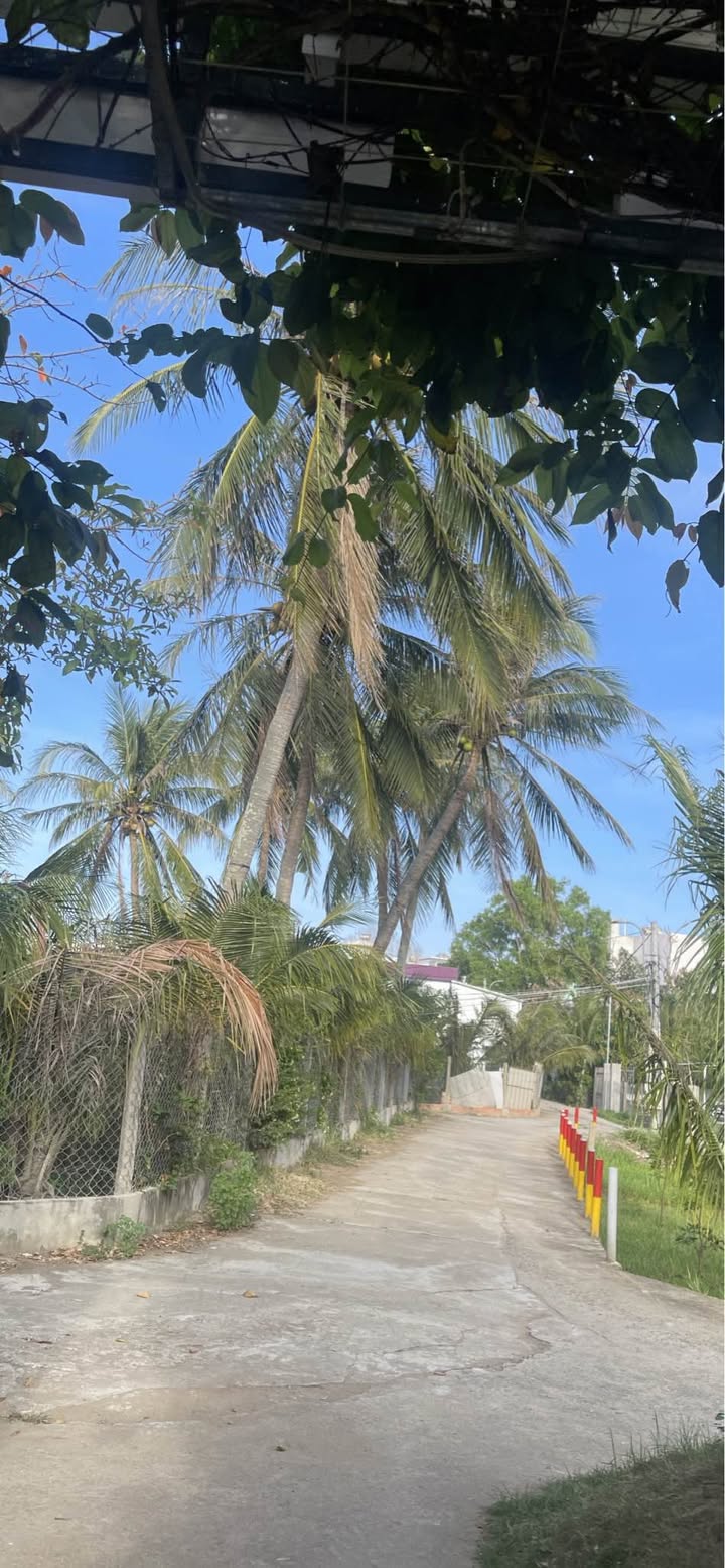 Bán đất Phú Hiệp, Tuy Hòa 100m² sổ đỏ - Giá tốt đầu năm