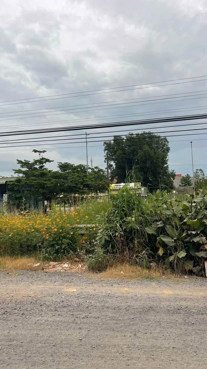 Nhà cấp 4 Trảng Bom 140m² chỉ 1 triệu/tháng - Vị trí đẹp!