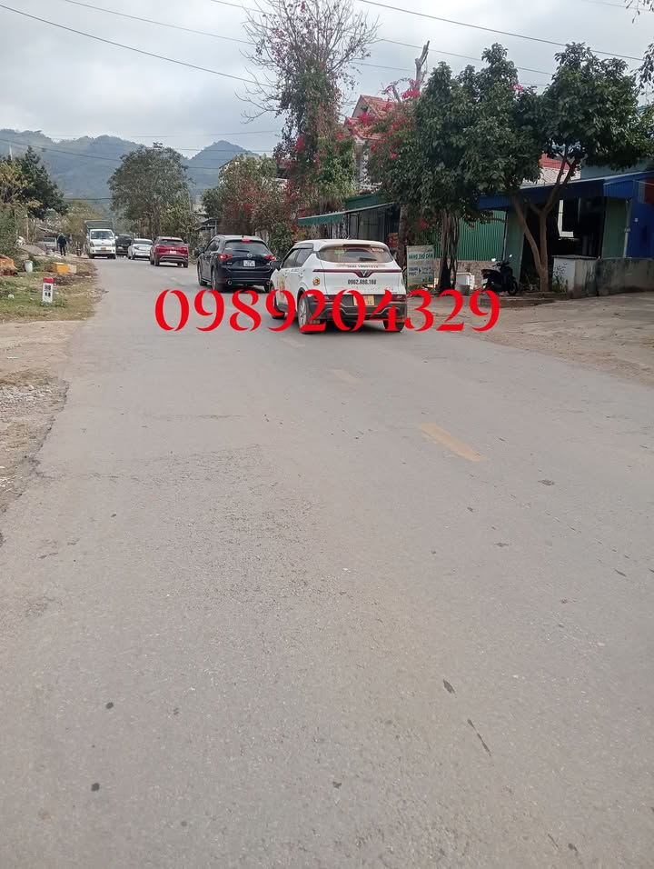 Bán Gấp 2 Lô Đất Mặt Tiền Kinh Doanh 110m² - Mộc Châu, Sơn La