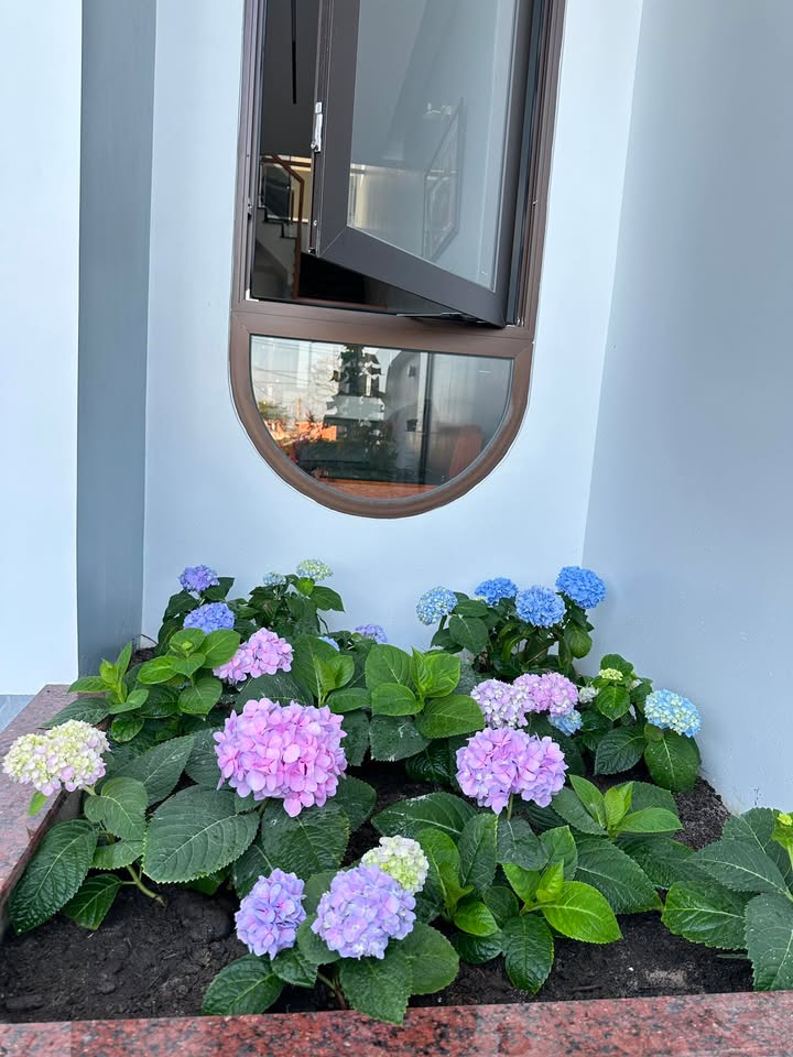 Đất Vàng Mặt Tiền QL55 Long Điền, Bà Rịa - Vũng Tàu: 184m², Nở Hậu 15.5m, Giá Tốt