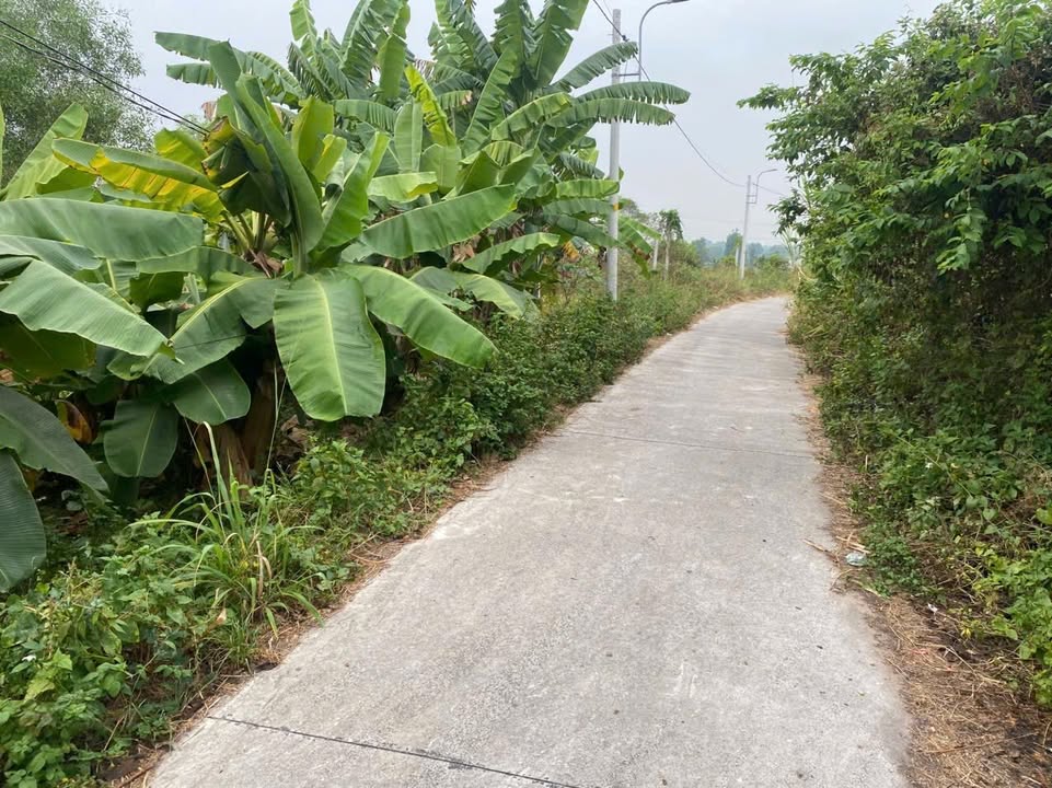 Đất Trung An Củ Chi 3250m² - Sổ đỏ chính chủ, tiềm năng đầu tư!